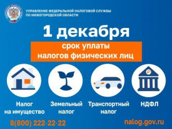 ФНС информирует: 1 декабря - срок уплаты налогов физических лиц