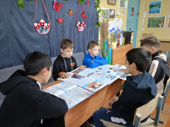 Библиотечный урок "Энциклопедии для любознательных"